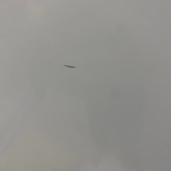 Uğur Buzdolabı Sürekli Arıza Çıkararak Mağdur Ediyor Hem De Servisten Çizik Şekilde Geri Geliyor