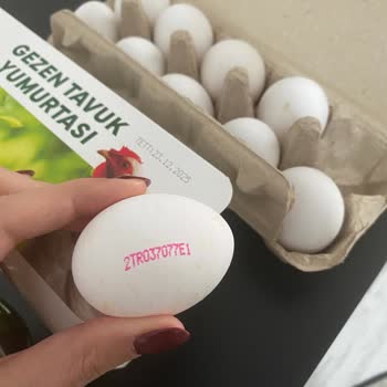 Mlife Bio Gezen Tavuk Yumurtası Adıyla Yanıltıcı Ambalaj Ve Tüketici Mağduriyeti