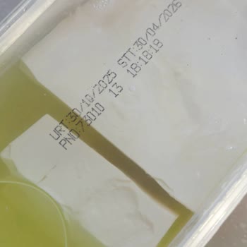 Aldığım Peynirin Hızla Bozulması Ve Hayal Kırıklığı