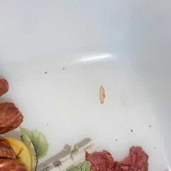 Pınar Sosiste Kemik Parçası Çıktı