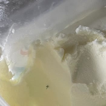 İçim Rulo Kaymak İçinden Yabancı Madde Çıkması Ve Hijyen Endişesi