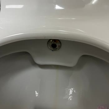 Yeni Alınan Klozetlerde Kısa Sürede Oluşan Sarı Lekeler Ve Yetersiz Servis