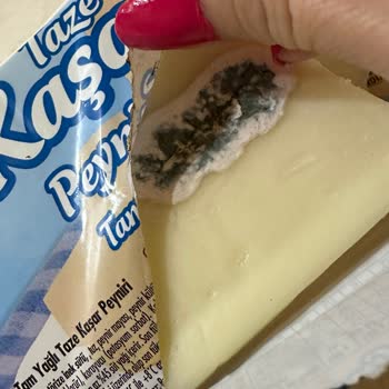 İçim Kaşar Peyniri Son Tüketim Tarihi Geçmemesine Rağmen Küflendi!