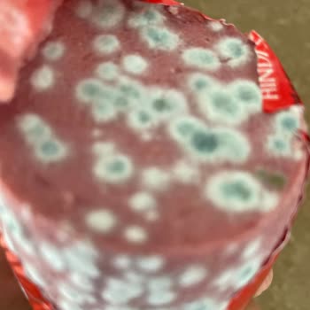 Beko Buzdolabı Gıdaları Hızla Bozuyor, Sağlığımız Tehlikede