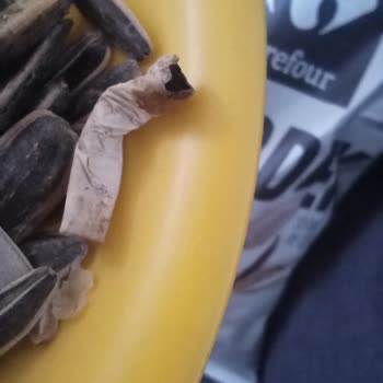 Carrefour Markalı Çekirdek Paketinden Sigara İzmariti Çıkması