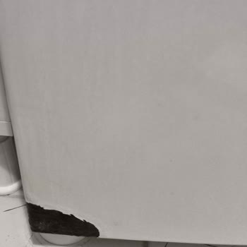 Bosch Çamaşır Makinesinde Kronik Çürüme Sorunu İçin Ücretsiz Onarım Talebi