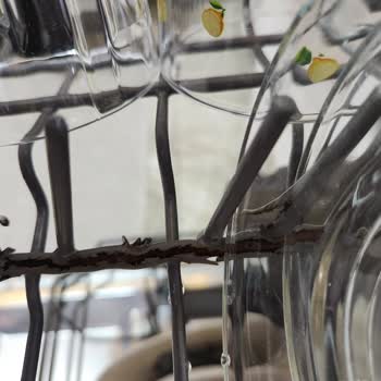 Franke Bulaşık Makinesi Sepetlerinde Kronik Paslanma Sorunu