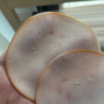 Namet Hindi Füme Ürününde Yeşil Yabancı Madde Şoku: Sağlık Riski Ve Acil İnceleme Talebi