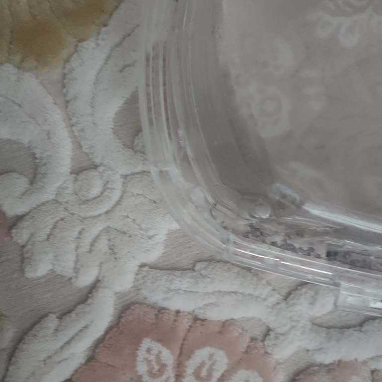 Hoover Kurutma Makinesi Su Haznesi Kapağı Açarken Kırıldı Garanti Kapsamına Alınmadı