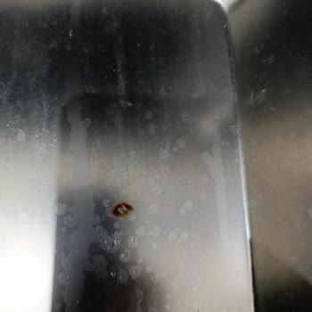 Vestel Bulaşık Makinesinde Erken Paslanma Ve Yetersiz Destek