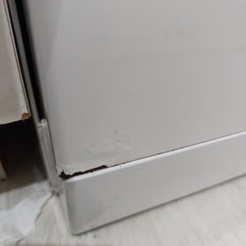 Vestel Bulaşık Makinesinde Erken Paslanma Ve Yetersiz Destek