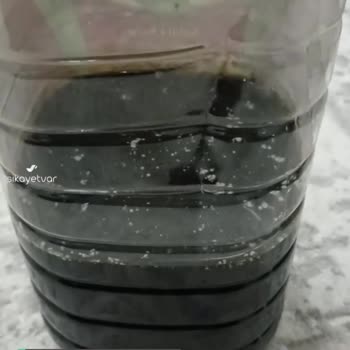 Öncü Salata Sosu Pişmanlığı
