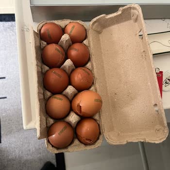 Aldığım Organik Yumurtadan Kırmızı Ve Kokan Bozuk Ürün Çıktı İlgisizlikle Karşılaştım