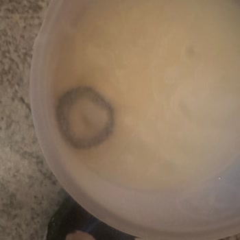 Son Kullanma Tarihi Geçmemiş Sek Quark Protein Ürününde Küflenme Şoku