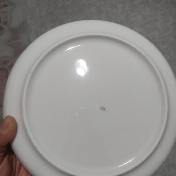 Prestijli Markadan Aldığım Yemek Takımı Ve Çatal Kaşık Setinde Hayal Kırıklığı: Silinen Yazılar, Hatalı Parçalar