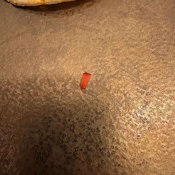 Dondurulmuş Lahmacun Ve Pidede Yabancı Madde Çıkması Nedeniyle Hijyen Endişesi