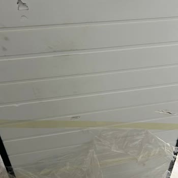 Hasarlı Kedi Kafesi Geç Teslim Edildi, Tamir Ücreti Ödenmedi Mağduriyet Yaşadım