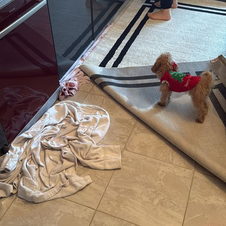 Tunç Gayrimenkul (Çerkezköy) Yanılttı