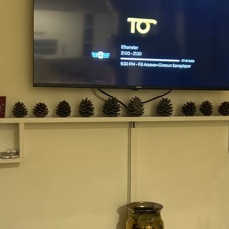 Tood TV'de Yayın Donmaları Ve Destek Eksikliği Nedeniyle Üyelik İptali Talebi