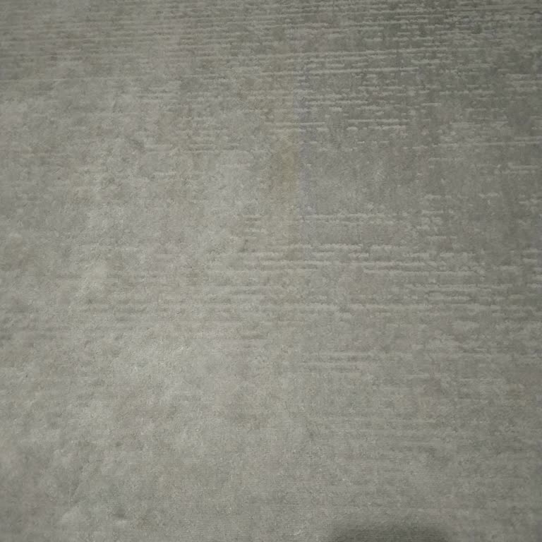 Yeni Alınan Halıda Su Temasıyla Sararma Ve Yetersiz Müşteri Desteği