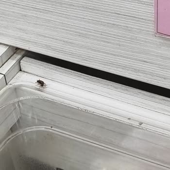 Makbul Market Üçyüzlü Şubesi'nde Hijyen Ve Personel Sorunu!