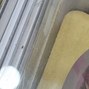 Makbul Market Üçyüzlü Şubesi'nde Hijyen Ve Personel Sorunu!