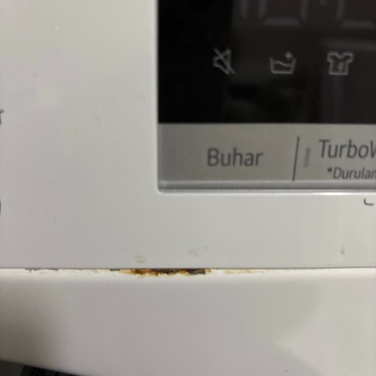 LG Çamaşır Makinesinde Boya Atması Ve Paslanma Sorunu