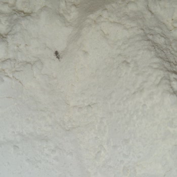 Aldığım Unun İçinden Böcek Çıktı, Hijyen Ve Sağlık Endişesi Yaşadım