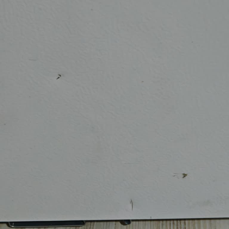 Sıfır Alınan Buzdolabının Hasarlı Çıkması Ve İletişimsizlik Mağduriyetimi Artırdı