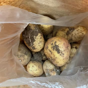 File Market'ten Sipariş Edilen Patateslerin Çamurlu Ve Özensiz Teslimatı Hakkında Şikayet