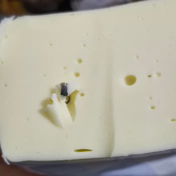 Ailece Tükettiğimiz Kaşar Peynirinden Yabancı Madde Çıktı: Gıda Güvenliği Endişesi