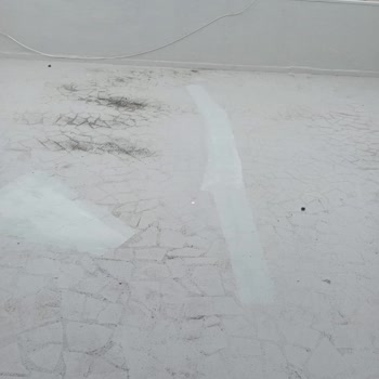 Köster Su Yalıtımı Sonrası Küf Sorunu Ve Kalıcı Çözüm Beklentisi