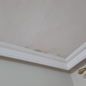 Köster Su Yalıtımı Sonrası Küf Sorunu Ve Kalıcı Çözüm Beklentisi