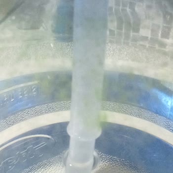 Kalabak Su Damacanasında Yosun Ve Hijyen Sorunu Endişesi