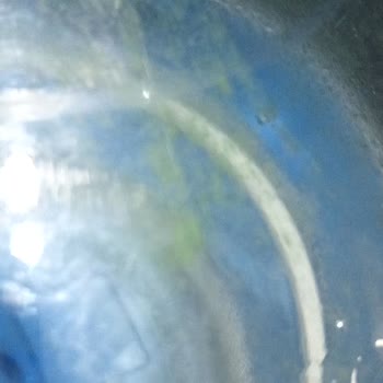 Kalabak Su Damacanasında Yosun Ve Hijyen Sorunu Endişesi