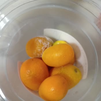 Şok Marketten Alınan Çürük Meyveler Hasta Yakınına Mağduriyet Yaşattı