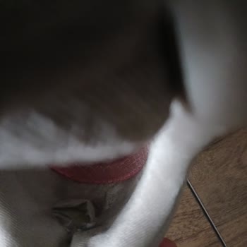 Aldığım Ayakkabının Kısa Sürede Yırtılması Ve Yetersiz Müşteri Hizmeti