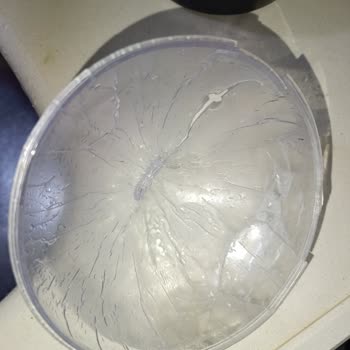 Sinbo Yumurta Pişirme Makinesinin Kapağı Kısa Sürede Deforme Oldu, Yedek Kapak Talebim Var