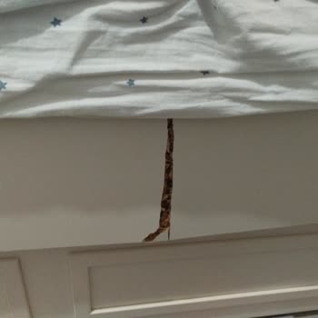 Kısa Sürede Kırılan Ranza İçin İade Ve Ücret İadesi Talebim Reddedildi