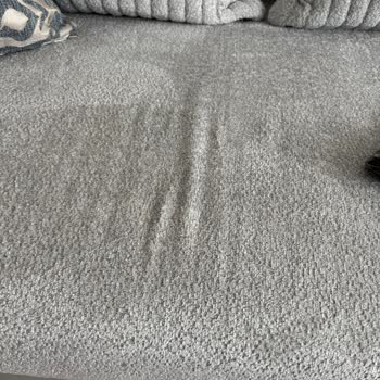 Yüksek Fiyatlı Bellona Estella Ürününde Hatalar Ve İlgisizlik Hayal Kırıklığı Yarattı