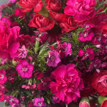 Özel Güne Solmuş Ve Özensiz Çiçek Teslimatı Hayal Kırıklığı Yarattı