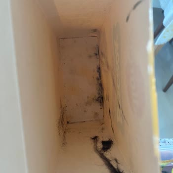 Son Kullanma Tarihi Geçmemiş Köpek Ödül Maması Küflü Çıktı Markaya Güvenim Sarsıldı