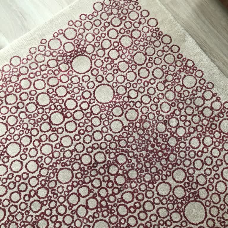 Islak Ve Zarar Görmüş Halı, İlgisiz Hizmet Mağduriyeti