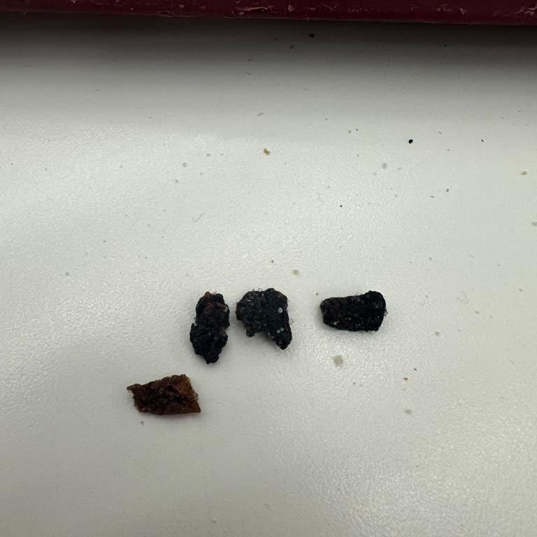 Popeyes Siparişimde Hijyen Ve Ürün Kalitesizliği Mağduriyeti