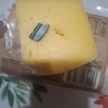 Peynirin İçinden Çıkan Plastik Parça Güvenimizi Sarsıyor