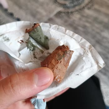 Aldığım Ozmo Cornet Çikolata Küflü Çıktı, Sağlık Ve Hijyen Konusunda Endişeliyim