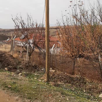 Bir Aydır Devrilen Direk Yüzünden İnternetsiz Ve Mağdurum