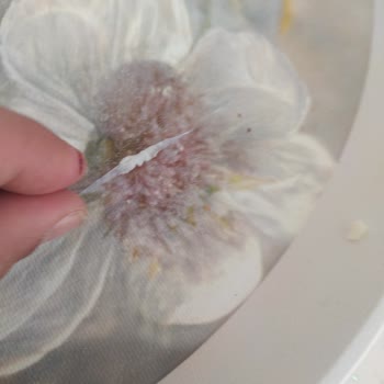 Peynirde Çıkan Plastik Parçası Sağlığımızı Tehdit Etti, Açıklama Ve Önlem Bekliyoruz