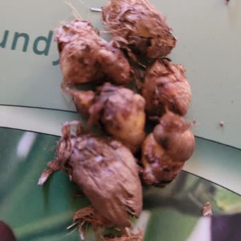 Trendyoldan Eksik Ve Çürük Ürün Mağduriyeti Sonrası Satıcıyla Yaşanan Tartışma Ve İlgisizlik