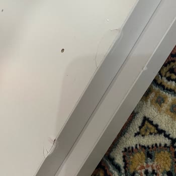 Evidea Hasarlı Ürün, Yetersiz Çözüm Ve Mağduriyet